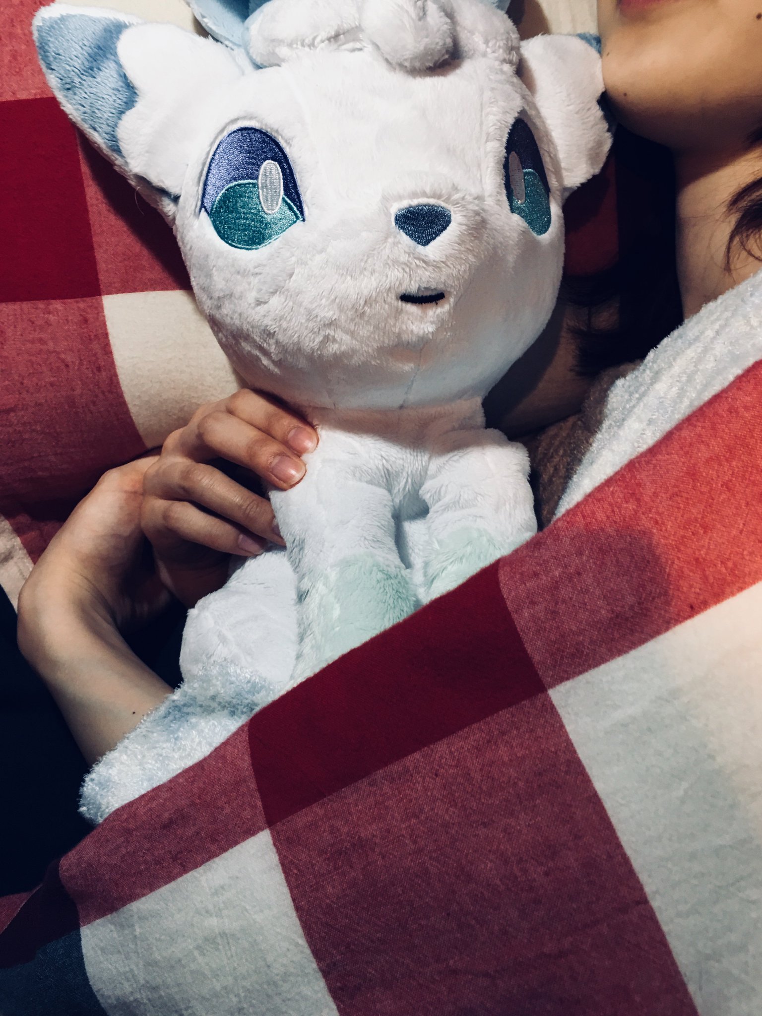 タカラトミー V Twitter 1 1リーリエのシロン アローラロコン のぬいぐるみが本日発売です ﾟwﾟ ﾉ もふもふしながら眠りについてみませんか ﾉ W ヾ ﾓﾌﾓﾌﾓﾌﾓﾌﾓﾌﾓﾌ T Co Ltxei25cll Anipoke T Co J0ccxudwds