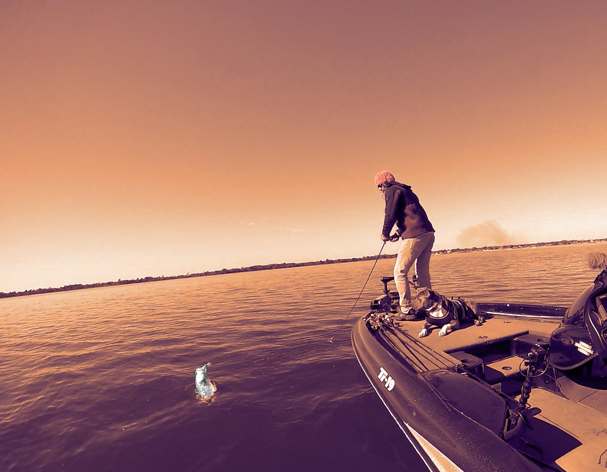 mikeybalzz's tweet photo. 7 pounda, sir jump a lot!
#bigbass #longline #6xd https://t.co/mHuFZzRyAm