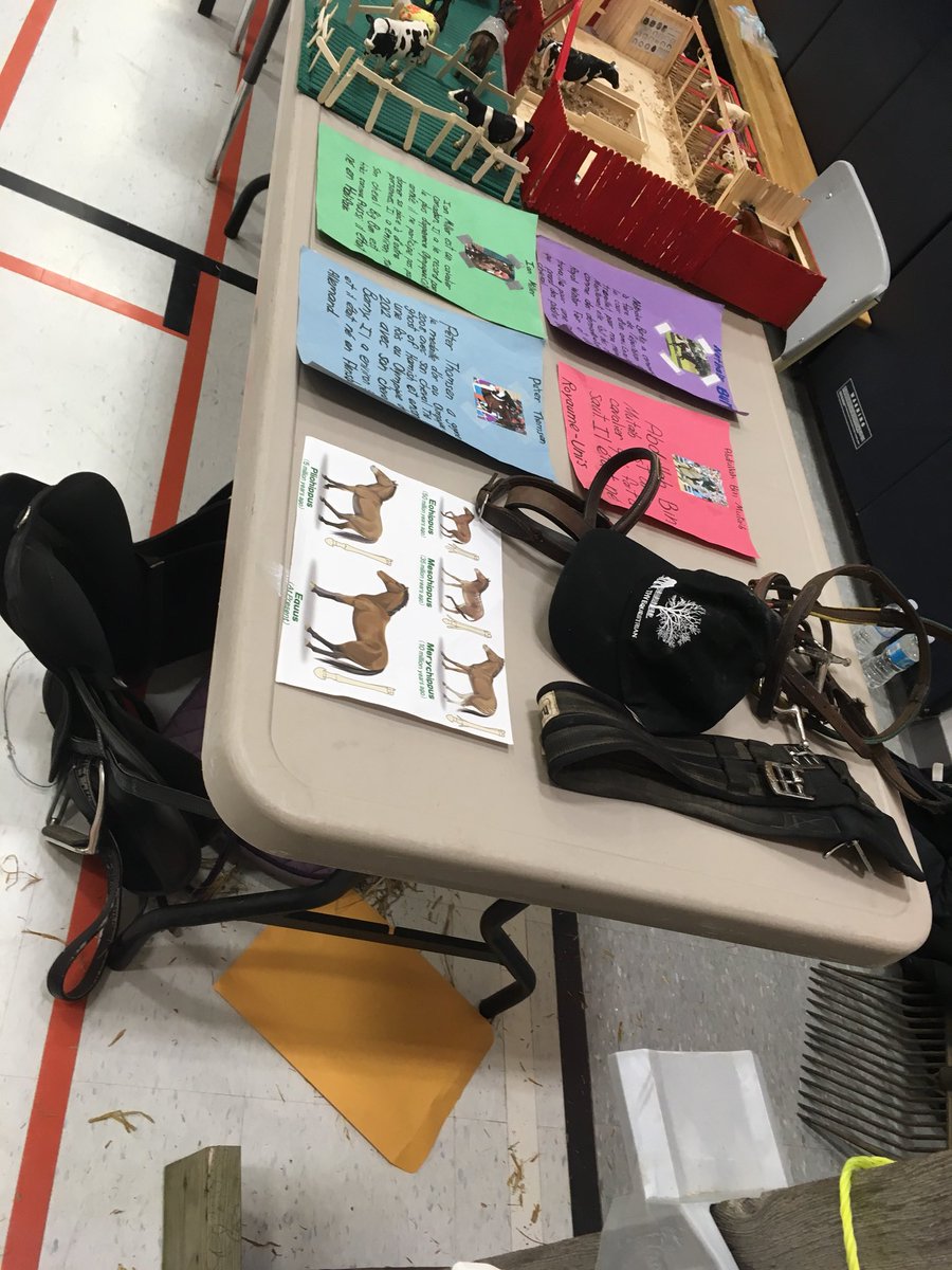 stblfoundations's tweet photo. School project?!  Ummmm yes!  Addison and Merlin were at school tonight for her presentation #PonyHour #cutestponyever #ponyandhisgirl #horsehour https://t.co/YUOU1nGjcW