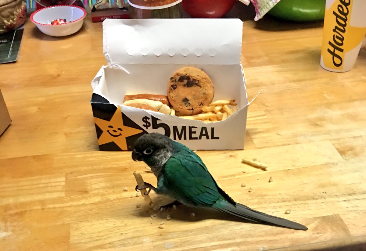 hellomarszalik's tweet image. My mom has been watching Cheek while I’ve been photographing and traveling, and...

... this is not the diet that I raised my child with. #spolied 🤦🏻‍♀️🐦