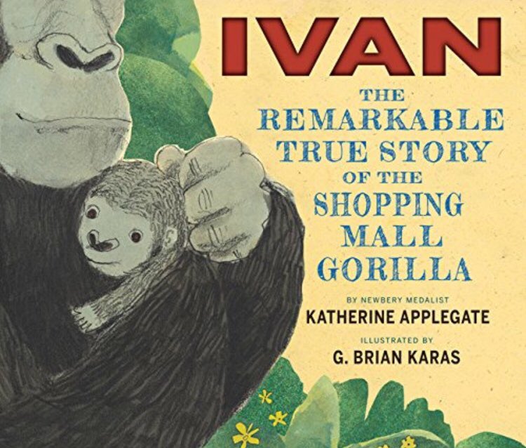 mrscasey123's tweet photo. This week the Explorers finished reading The One and Only Ivan! This is my sixth year sharing this book with Explorers and it gets better each time! ❤️🦍 THANK YOU @kaaauthor. 📚 #KnightsRock @NTMKnightsAPS #teachkindness #teachcompassion #teachcourage https://t.co/iQGc0MfM4P