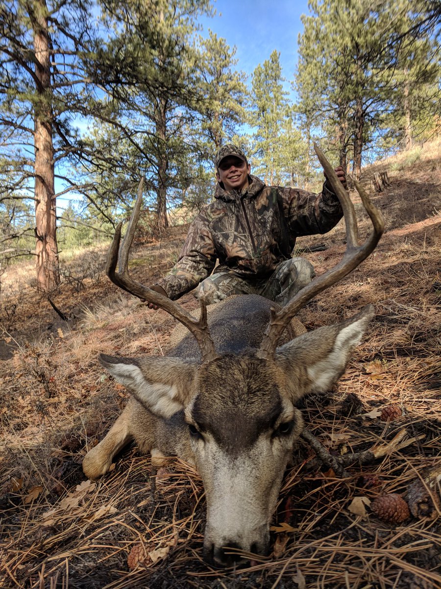 Fin Feather and Bone tweet media