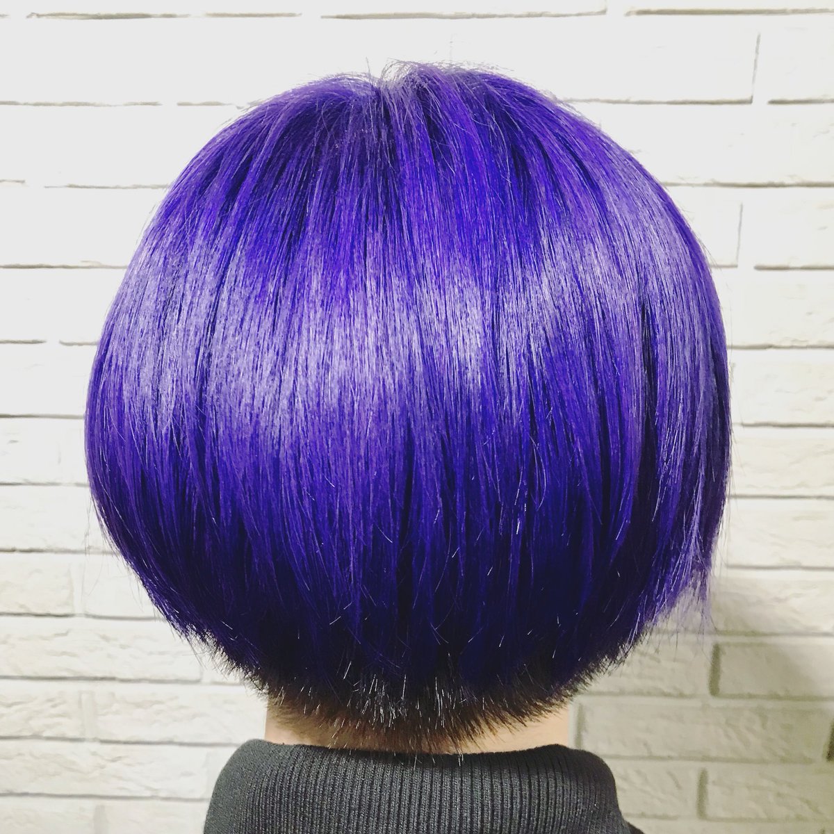 mimic_14's tweet photo. 紫👾👾👾

#派手髪 #原色カラー  #トリックカラー #トリックスタイル #トリックヘアー #マニックパニック #マニパニ #haircolor #hairstyles #COLORTRICK #manicpanic #trickstyle #trickhair #美容室 #ミミック広島 #mimic #hairstudiomimic #広島 https://t.co/SlEW1Jjpqf