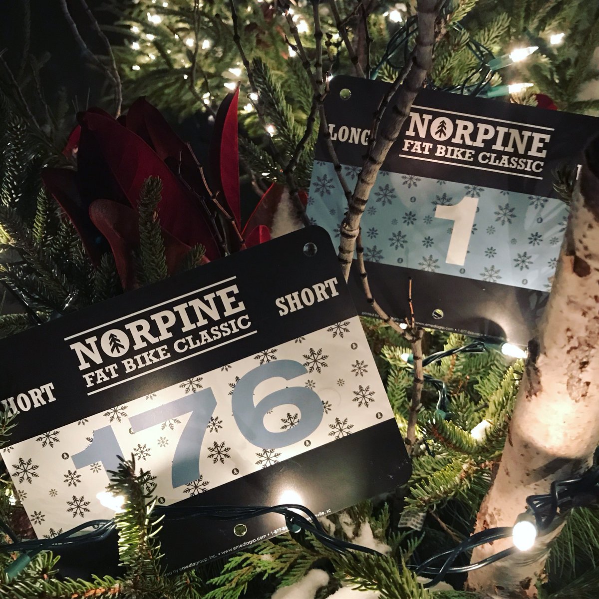 NorpineClassic's tweet photo. Preparing for the festivities.  See you 1.6.18 @NorpineClassic #FatBike #fatbiking #Cycling #OptOutside #OnlyinMN #LifeisBeautiful https://t.co/ktVvf299ww