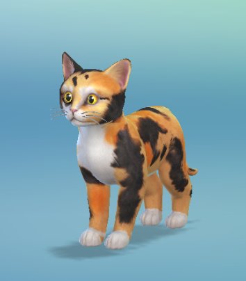 sims 4 cats toys cc sims 4 cats toys cc