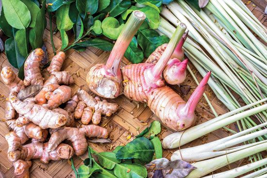 GrowPHX's tweet photo. #Grow Your Own #Turmeric and #Ginger for #beauty and #health. #Gardening #motherearthliving #micro_farm https://t.co/rtnUzlpuSN https://t.co/kyprNjUwaJ