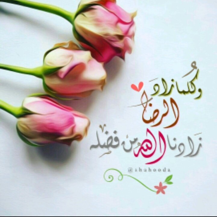 vptr44's tweet photo. وكلما زاد الرضا
زادنا الله من فضله
🌸🌸
ربي رضاك والجنه
صباح الرضا 🌸🌸 https://t.co/O9odlBrrti