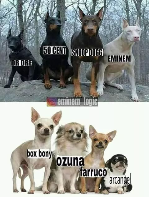 german_altuzar's tweet photo. Por que #AntiTrap y esas cosas del diablo https://t.co/i0B2yUrNgg