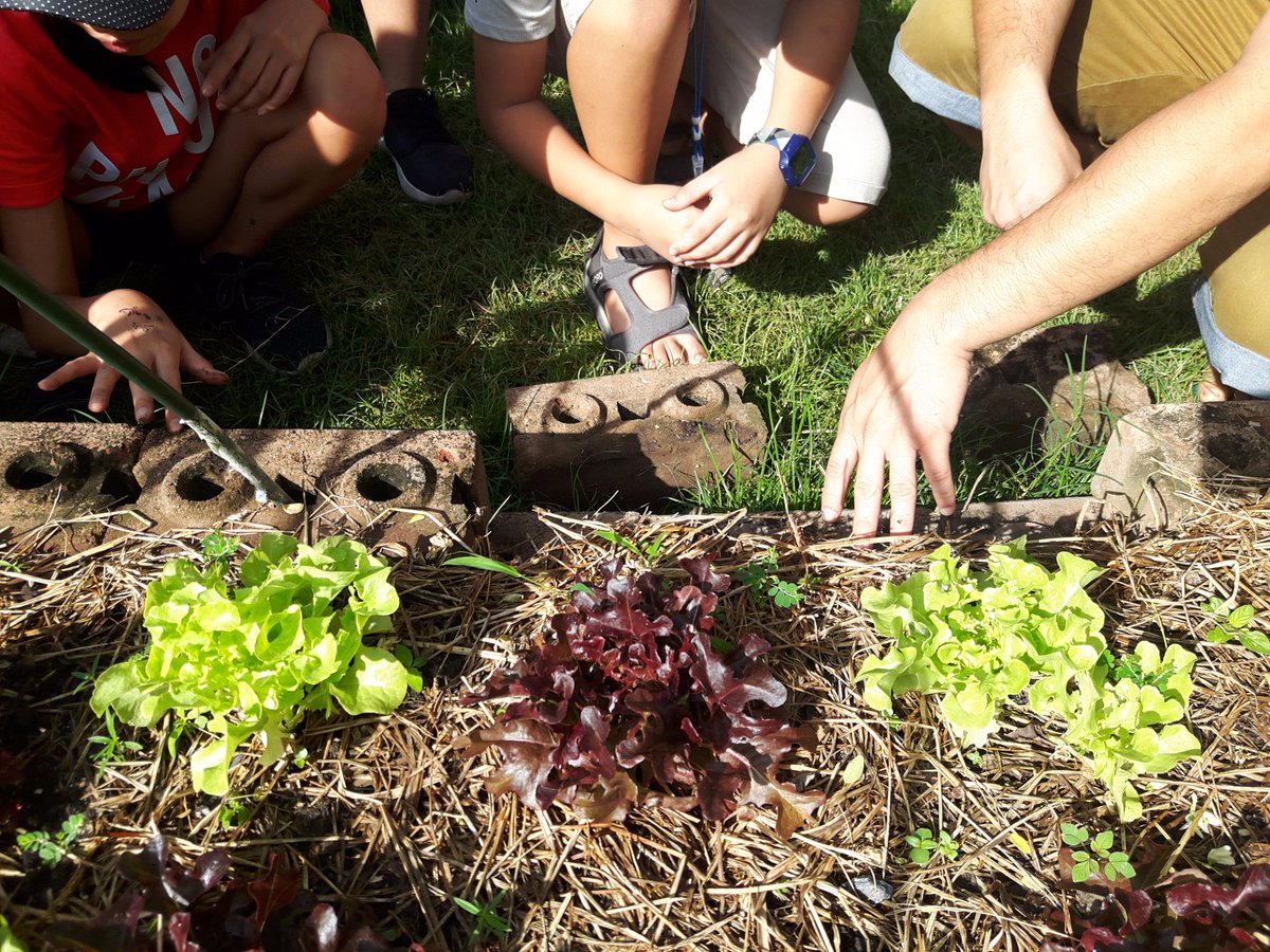 Y7NIST tweet media