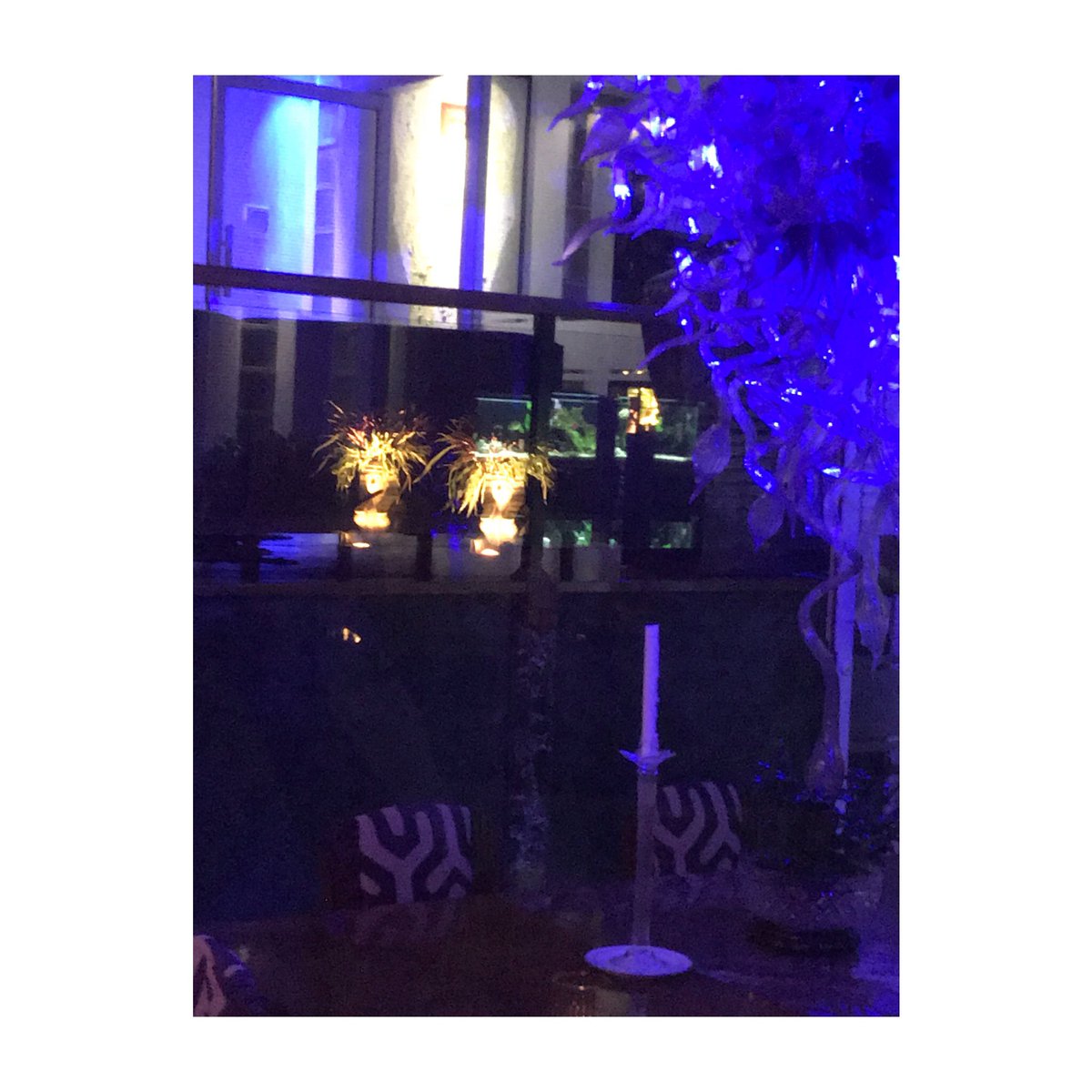 #Sphinx Zoo Chiang Mai