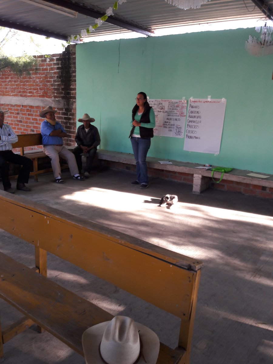 MarisolArregui2's tweet photo. Diagnóstico de comercialización. Productores de Las Canoas, Salvatierra. @DesdeGto  @Bettyvaz2 https://t.co/BtHFZDtWsH
