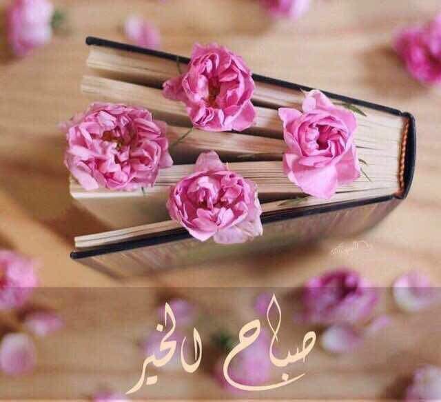 fa2016ha's tweet image. 