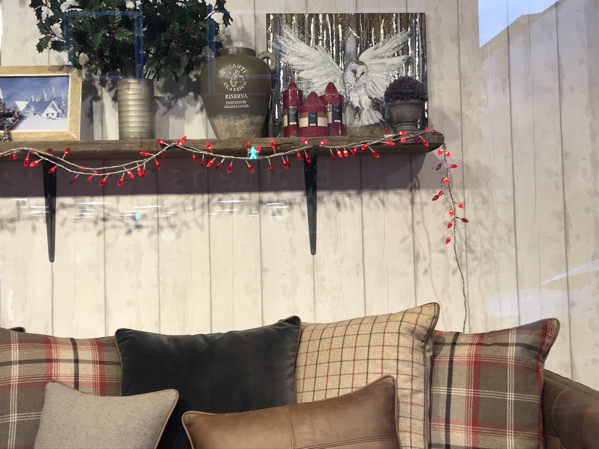 A few of my paintings in <a href="/HoopersEdit/">Hoopers</a> #christmas window #stags #owls I will be there from 2-4pm at their Christmas gala today