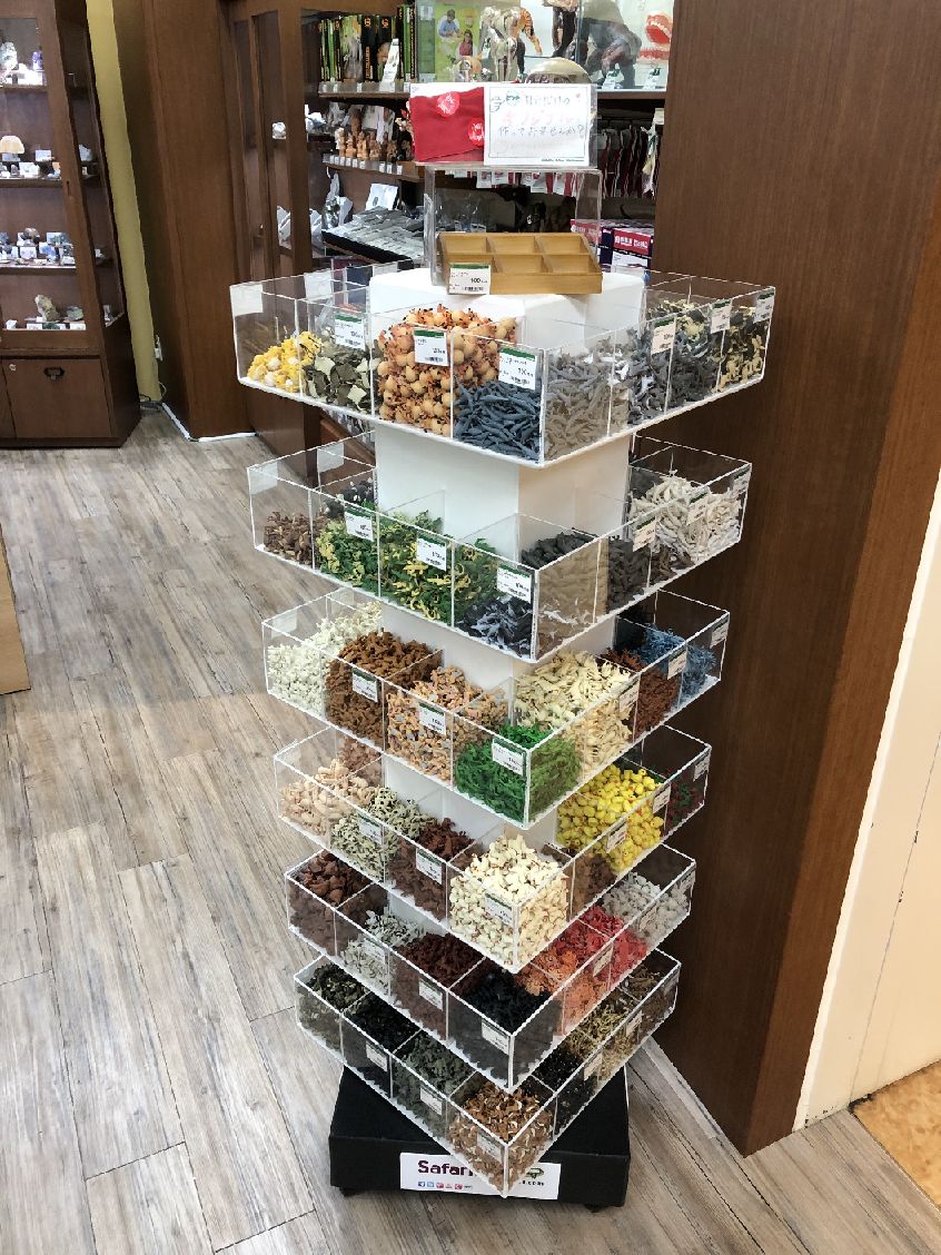 Twitter 上的 東急ハンズ新宿店 遊び方いろいろ サファリ社ミニフィギュア おひとつ100円 税 たくさんの動物たちがみなさまのご来店をお待ちしております ハンズ新宿店7fサイエンスコーナーにて販売中 てく T Co Gj0rj4ohu1 Twitter