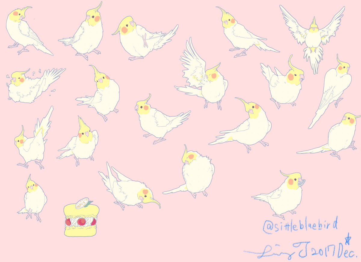 青いことり工房 ちびとふたりで Pa Twitter ルチノー ルチノー ルチノー オカメインコづくしイラストのルチノーに色を付けました これをベースにマグカップとトートバッグを制作予定です ノーマル柄等も予定しています 桃染 Web Shopは年明け1月