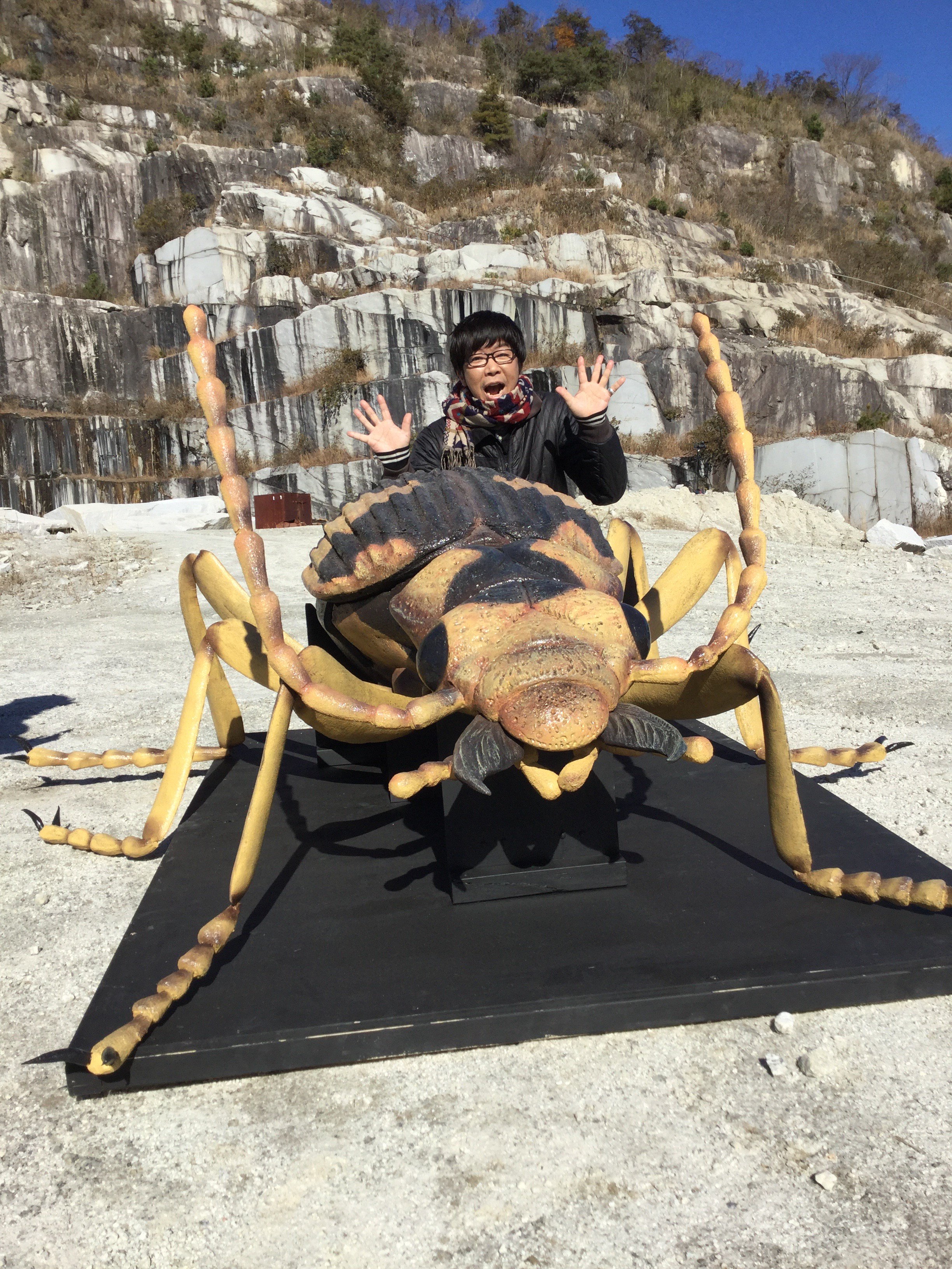 デカい！異様な大きさのパイザラゴミムシ デカい！異様な大きさのパイザラゴミムシ