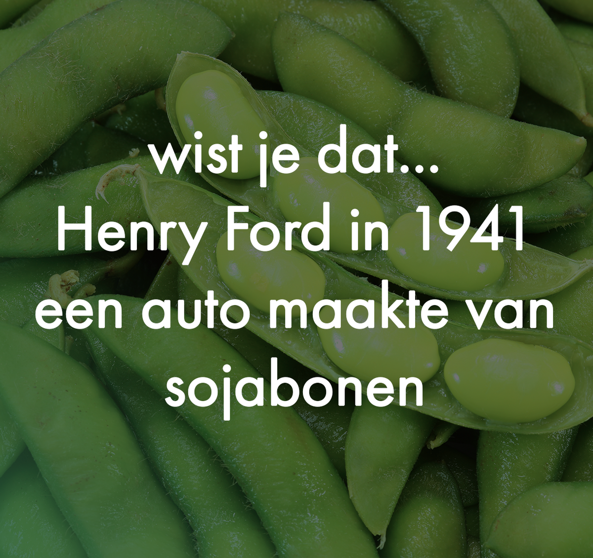 automattenkopen's tweet photo. Wist je dat... ;-)? #sojabonen #henryford https://t.co/dqKUHBSemO