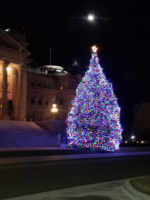 Not the best pic, but it's still pretty! #Christmas  #CapitolChristmasTree #Boise https://t.co/ir3bW<a href="/tag/christmas"class="tags">#Christmas</a><a href="/tag/boise"class="tags"><span>#boise</span></a><a href="/tag/capitolchristmastree"class="tags"><span>#capitolchristmastree</span></a>