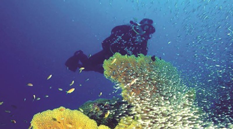 NTD_SA's tweet photo. #Nosy #Be
The Island of #Perfumes and its #coral islands.
Many water activities: big game fishing, diving, sailing ...
Several other tourist islands each presenting their characteristics ❤️ https://t.co/BYsrC4luoq