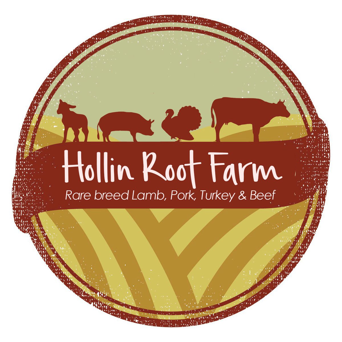 hollinroot's tweet photo. Prize winning free range bronze turkeys.  Reared to Golden Turkeys high welfare standard. https://t.co/TnSBC4O01k. #goldenturkeys #britishturkeys. https://t.co/CQOB8V7TKV