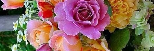 Kamroon3's tweet photo. @theta_compass @jwbranda @Harrys1DEmpire @aboalfof73 @estrogenplus @Las_Magas @CristinPereyra @SILVIADOMI222 @Silviadomi22G @tesamarylagvaz1 @antoniaparra8 @antwanhoberg Thank you https://t.co/1pYKE1ErLw