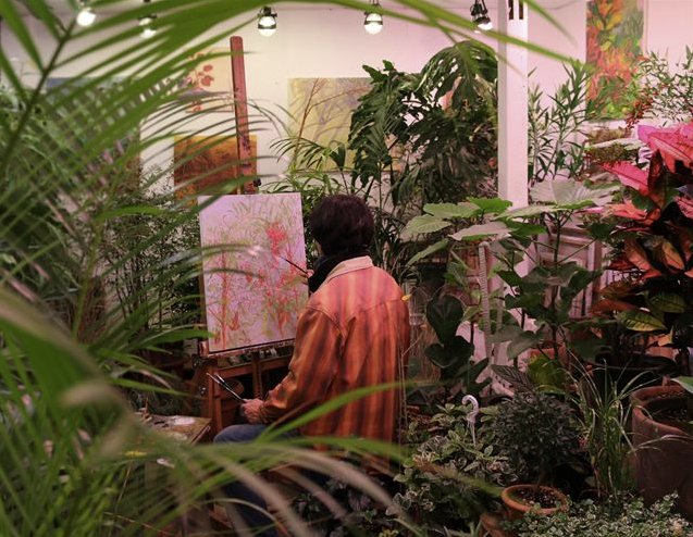 [무료전시] 100개의 화분으로 꽉찬 갤러리, 꽃에 둘러싸여 낭만을 경험할 수 있는 시간_허구영<낭만정원>_~12/17_누크갤러리(삼청동 35-192)