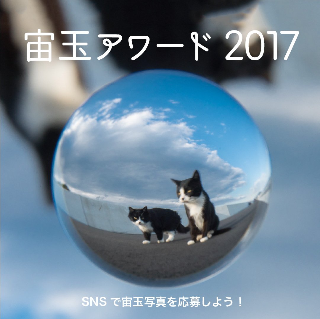 Soratama 宙玉 Soratama Org Twitter