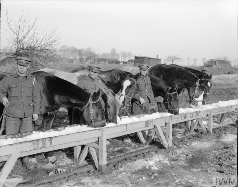 British troops watering their horses at an ice-covered trough during the First World War. Fins, 6 December 1917 #ThrowbackThursday Image: IWM