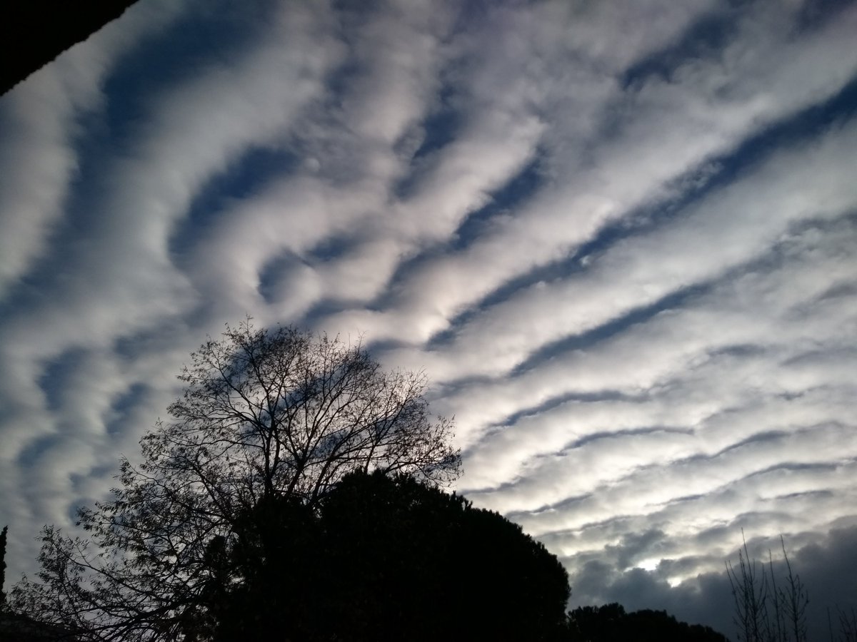 Baki Berk Kayalar 🌍 (@bekalunya) on Twitter photo Sabah İzmit'te uskumru bulutlari. - Mackerel clouds this morning. İzmit-TR <a href="/StormHour/">#StormHour</a> <a href="/Nowcasting_Turk/">Melik Ahmet TAŞTAN</a> @WeatherCoEurope <a href="/WeatherAlertsEU/">Weather Alerts Europe ⚠</a> <a href="/StormchaserUKEU/">WEATHER/ METEO WORLD</a> <a href="/Europe_wx/">Europe Weather</a> Sabah İzmit'te uskumru bulutlari. - Mackerel clouds this morning. İzmit-TR <a href="/StormHour/">#StormHour</a> <a href="/Nowcasting_Turk/">Melik Ahmet TAŞTAN</a> @WeatherCoEurope <a href="/WeatherAlertsEU/">Weather Alerts Europe ⚠</a> <a href="/StormchaserUKEU/">WEATHER/ METEO WORLD</a> <a href="/Europe_wx/">Europe Weather</a>