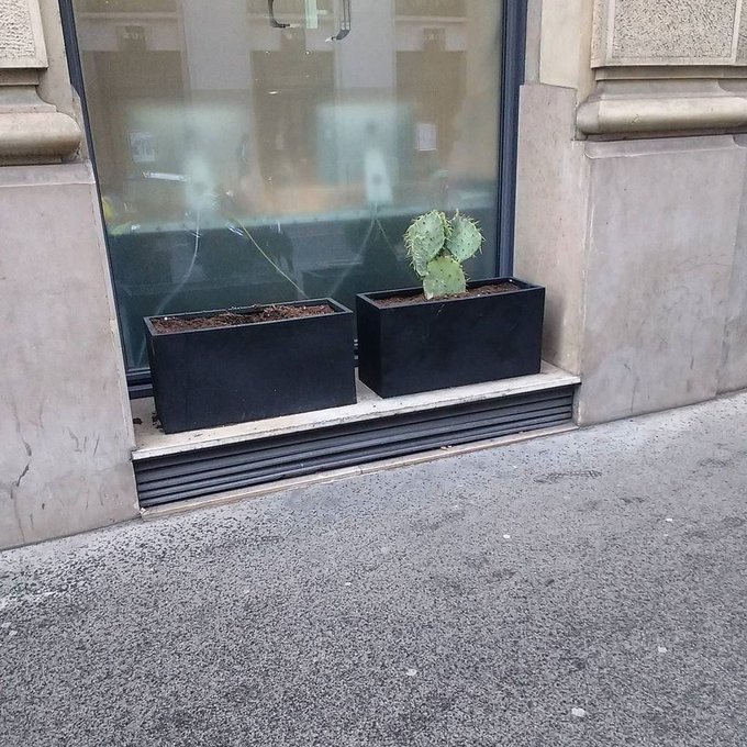 Voir l'image sur Twitter