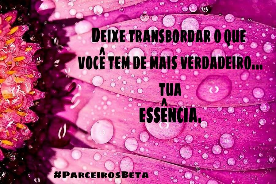 #ParceirosBeta
BOM DIA