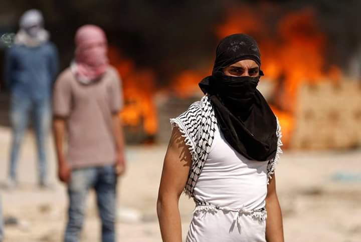 Quds News Network tweet media