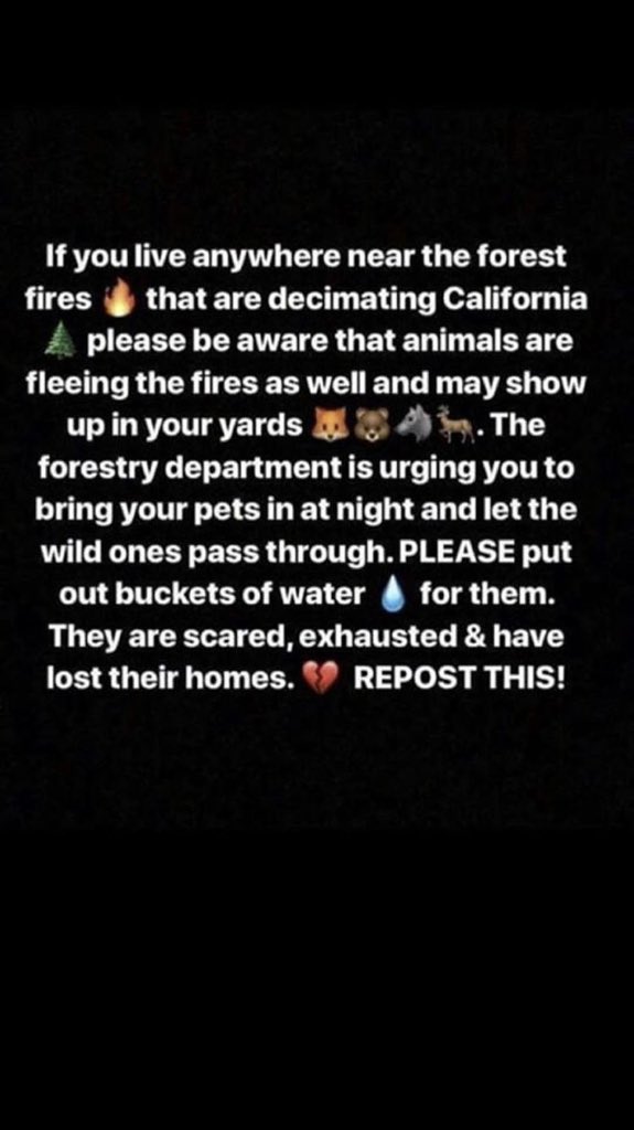 #ThomasFire #fire #animals #socal #LosAngelesfire #AnimalRescue #LosAngelesFires