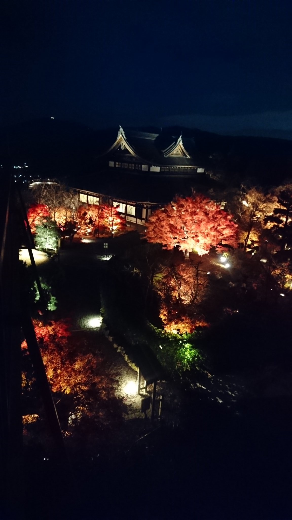 二本松寺 あじさいの杜 茨城県潮来市 京都紹介 青蓮院将軍塚青龍殿です こちらに 青不動明王が祀られています 青蓮院 門跡からは歩いて３０分程かかります こちらでは ライトアップの様子も見てきました 山の上にあり 夜景も素晴らしく 老若男女