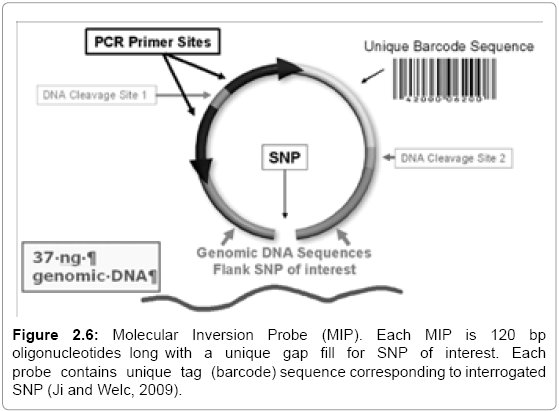 Molcularjournal's tweet photo. Discovery of Novel DNA Variants in Jordanians Population by Re- Genotyping #Affymetrix DMET #Arrays Data Using #DNA Sequencing https://t.co/7GUgUAEBYu