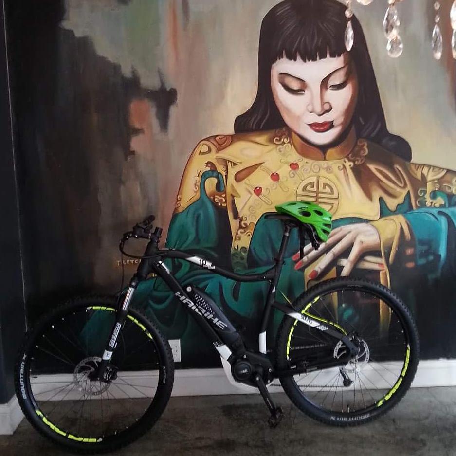 Haibike SA tweet media