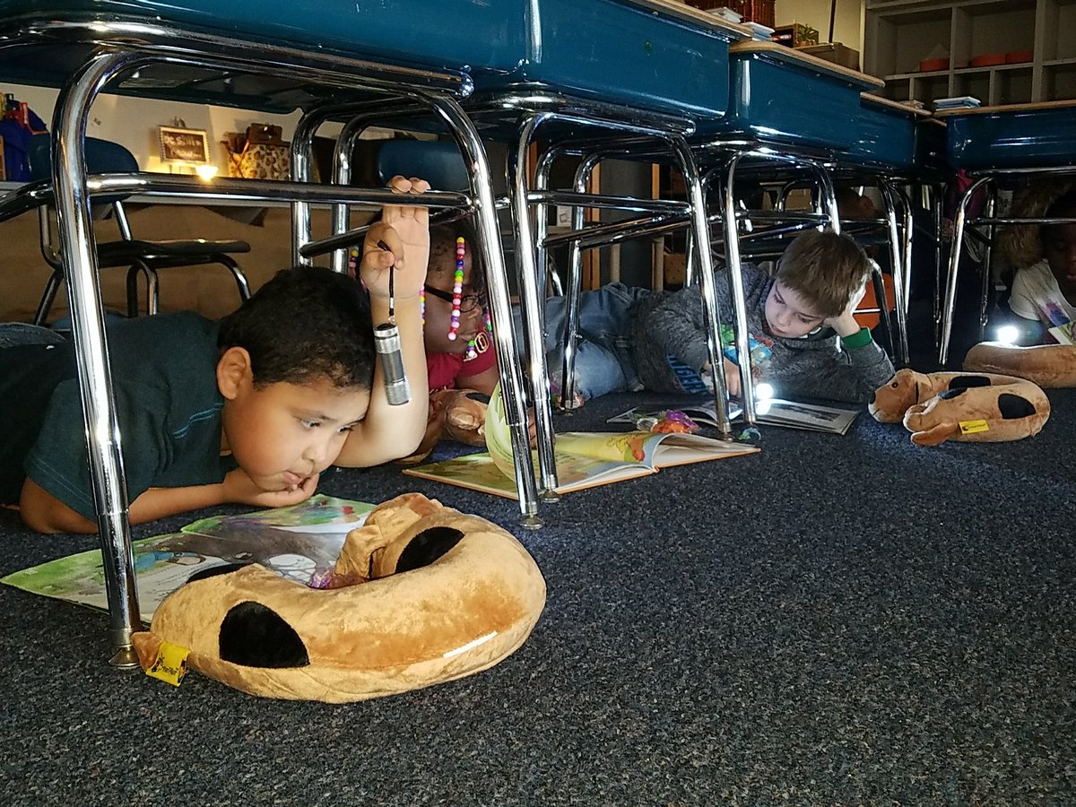 owlABOUTteachin's tweet photo. @LES_Mustangs @Mike_Diaz_FCS @FCSchoolsNC  Reading time is special with puppies and flashlights. Thank you Donors Choose and to all of our supporters! https://t.co/IEFzE94cWn