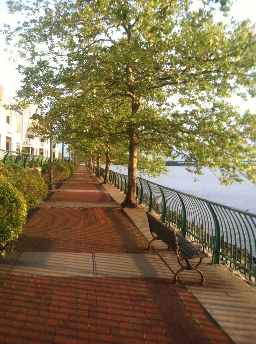 Arlene_the_Tree's tweet image. PLEASE HELP SAVE my Family of Trees -thepetitionsite.com/takeaction/107…  Please Sign The Petition and RE-TWEET...#Treespeech @DannytheTree @BeatriceTheTree @Elvisthetree @sunshinethetree @junebugthetree @mabelthetree @bookerthetree @judiththetree @treetimmy @leafythetree #Trees  🌳🌳🌳🌳