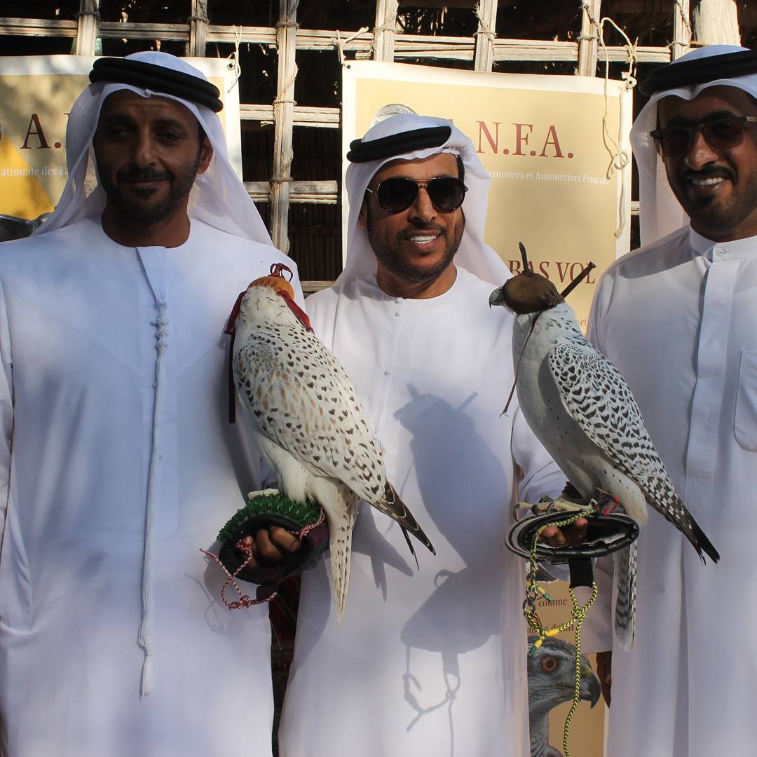 AFAbuDhabi's tweet photo. Thank you to the French delegation of young falconers for this special afternoon @ Heritage Village. 
#uae #franceuae #abudhabi #afad #ifuae https://t.co/ZyuFy8AqgR