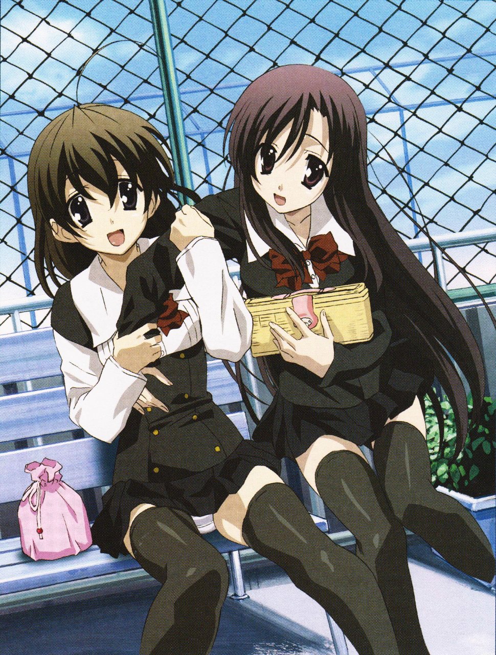 【世界に1枚】Champion School Days 昼休みの屋上 言葉と世界 Amazon.co.jp: SCHOOLDAYS SERIES COMPLETE BOX : PCソフト