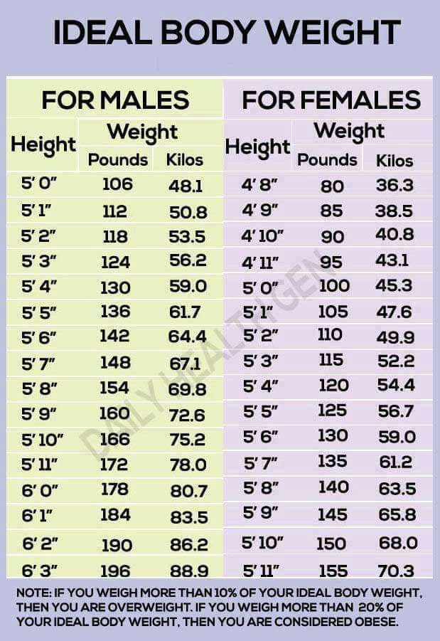 Body Frame Size Chart