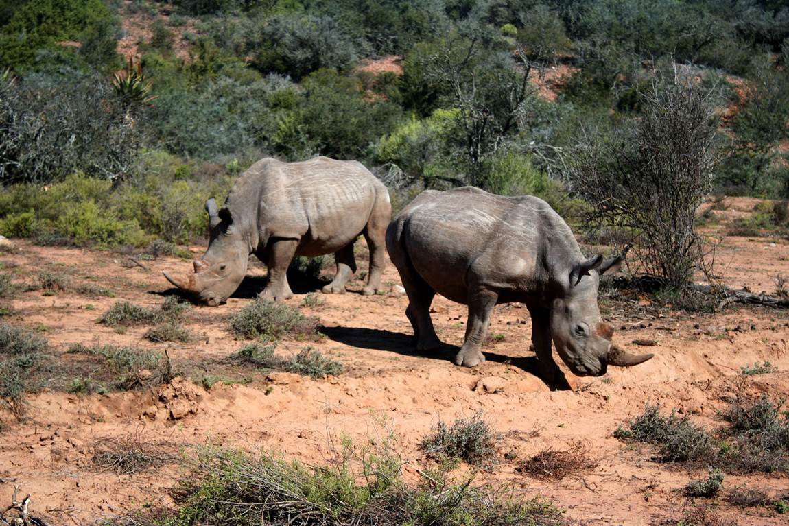 FoodBlog GardenRoute tweet media