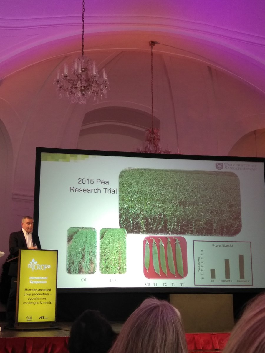 VasviChaudhry's tweet photo. #miCROPe2017 Prof. Jim Germida (Univ. of Saskatchewan) sharing success stories at heat and drought stressed field sites trials with the use of bacterial and fungal endophytes. Really Interesting.. https://t.co/FY7kBJRFi2