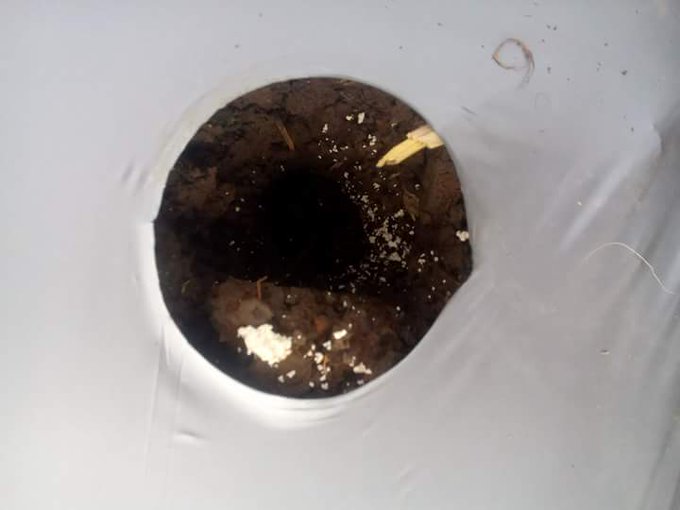 Dasar cara olah tanah kebun utk pemula, mudah dan murah ...