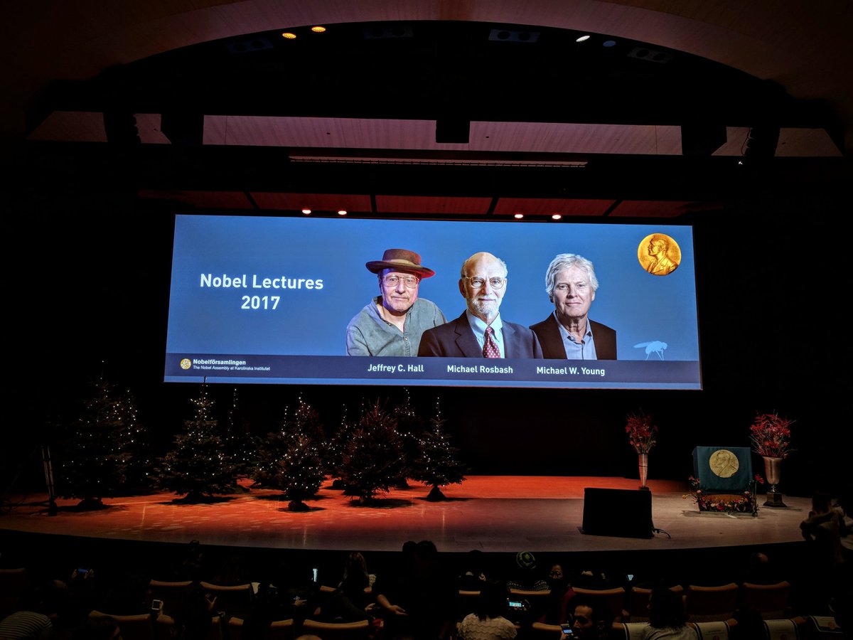 'If I have a thousand ideas and only one turns out to be good, I am satisfied' - Alfred Nobel. 
@ChroMeITN at the @NobelPrize Lectures 2017 in Medicine by Jeffrey Hall, Michael Rosbash and Michael Young for their amazing discoveries in the understanding of #circadianrythms!