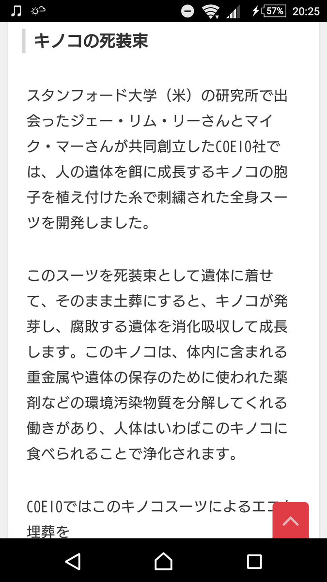 Mushrooms D考察まとめ Togetter