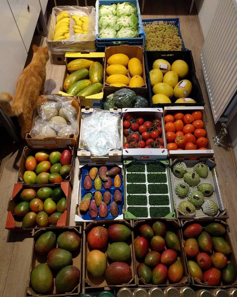 mostlyraw's tweet photo. #thursdayfruithaul #fruitstash #fruithaul #plantpower #hclfmrv #wholesale #fruitarian #rotterdam #peacefulwarrior #brainwarrior #workawayer got a box of bananas, crate with butterhead lettuce, crate with turkish grapes, papayas, yellow canary melons, can… https://t.co/OOfylEtqT6 https://t.co/3EpW92URm4