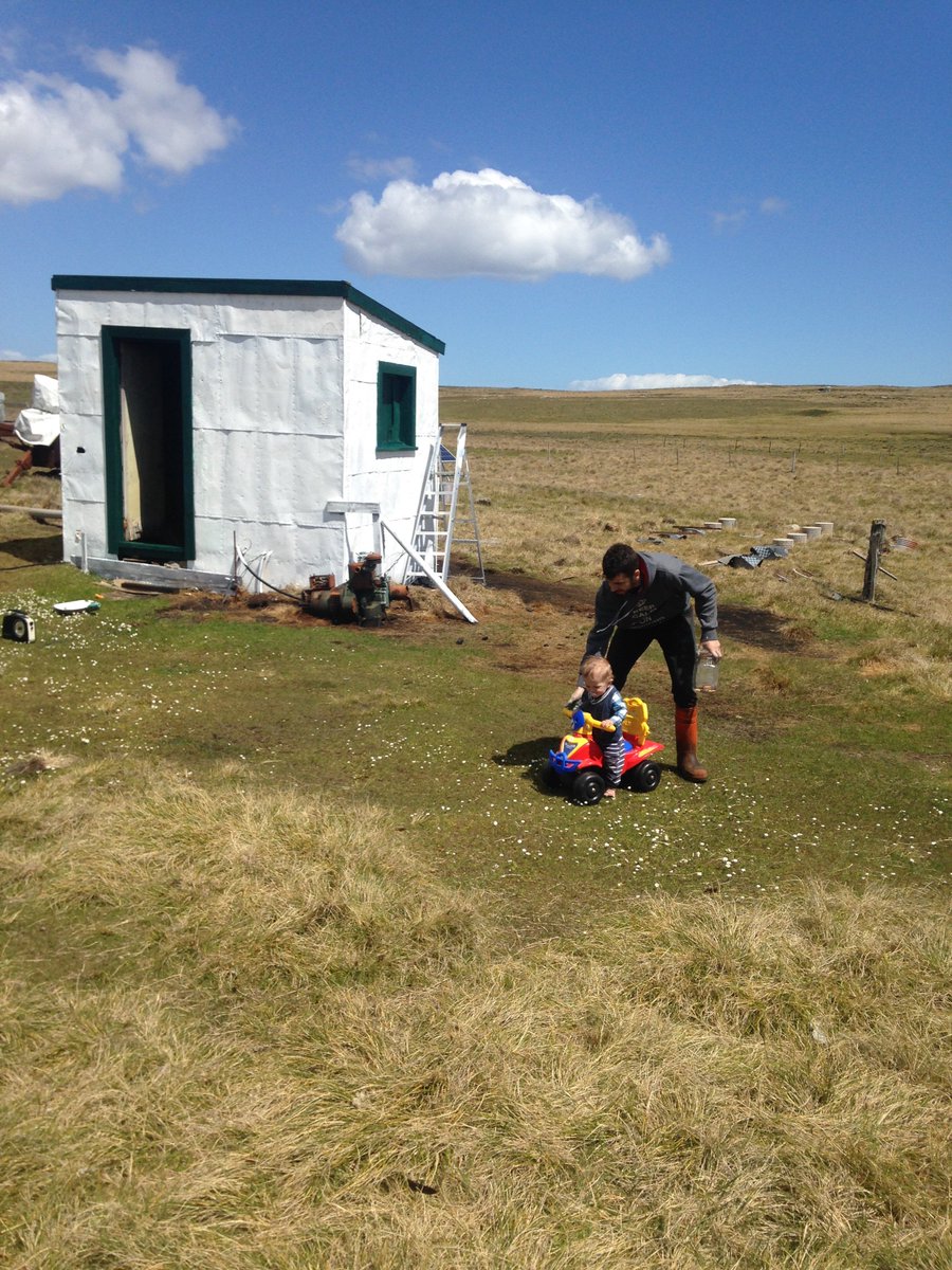doyle_falklands's tweet photo. Taking advantage of the #sunny weather and #painting some of the #settlement #buildings #farm #falklands https://t.co/ay0US7E2Ij