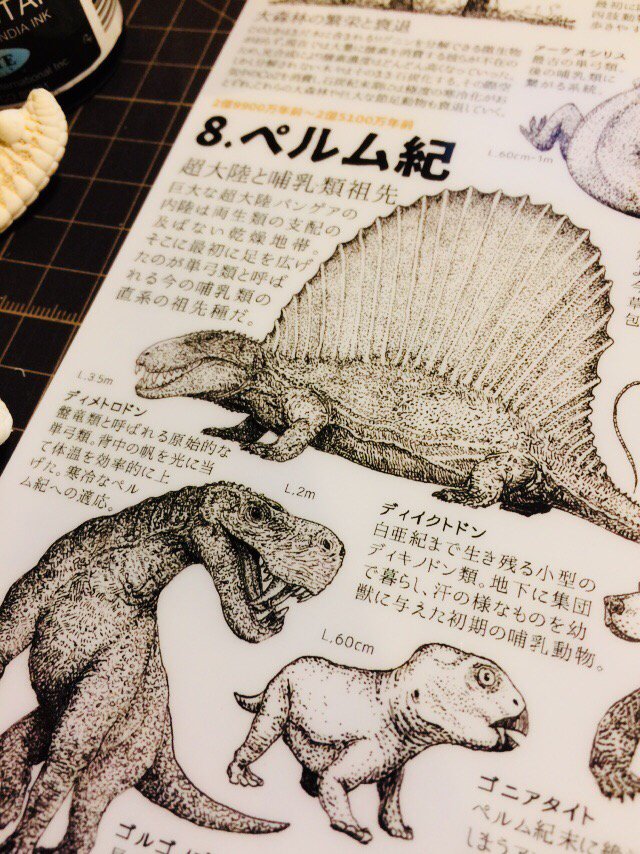 かわさきしゅんいち En Twitter 古生代進化図鑑クリアファイルは先カンブリア紀 ペルム紀の古生物の進化の系譜についてイラスト付きでまとめたもの ٩ W و アホみたいに挿画描いて死ぬかと いきもにあであっという間に完売しましたのを増刷したの かわさきしゅんいち En Twitter 古生代進化図鑑クリアファイルは先カンブリア紀 ペルム紀の古生物の進化の系譜についてイラスト付きでまとめたもの ٩ W و アホみたいに挿画描いて死ぬかと いきもにあであっという間に完売しましたのを増刷したの
