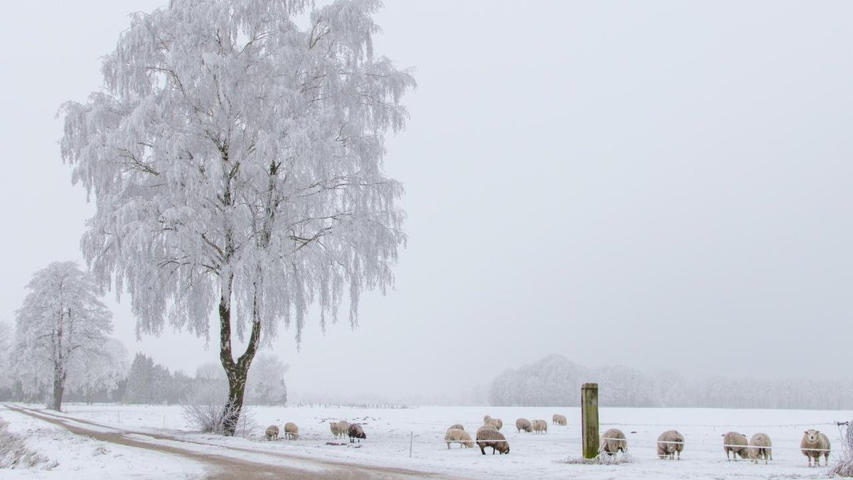 LouiseH36059467's tweet image. 🔉#GAIN #WITH
🔉#MGWV #Winter❤
#TeamCaramac
@ginestarros ⚘
@Ruby2211250220 ⚘
@LadyBond8 ⚘@AdryMMP⚘
@TruTina_ ⚘ @TeamCaramac
@MarEthr
⚘@D0LLIAN  @Rub 
@LeillaLuna ⚘@witchhusband
@darre5 @CandySlimeAsmr
@GTATidea⚘ @MarEthr 
@MGWV1OO @CarlonetCarlo
@HOMEL3ND @TwitWhizz